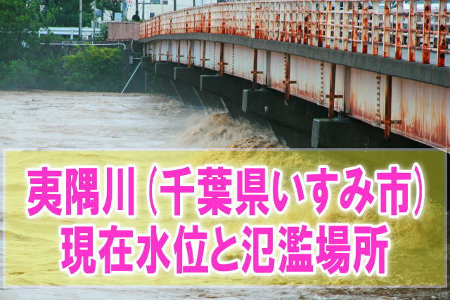 夷隅川(千葉県いすみ市)の氾濫場所や現在水位をライブカメラ確認とハザードマップ、避難所