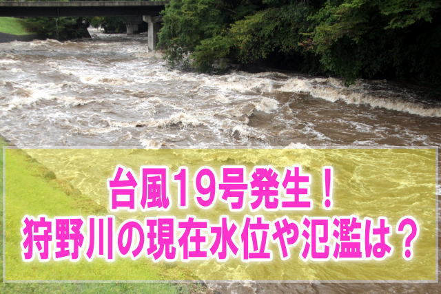 狩野川の現在水位や氾濫状況をライブカメラ確認と静岡伊豆半島の避難場所情報